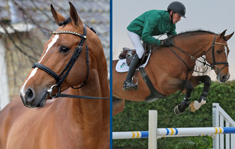 2015-HorsesPage_143