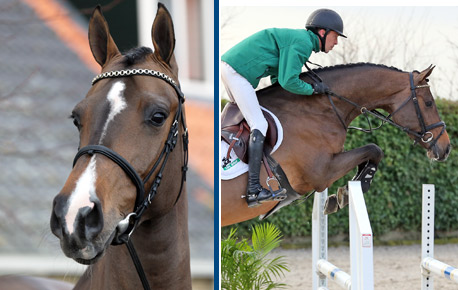 2015-HorsesPage_157