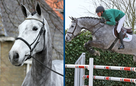 2015-HorsesPage_171