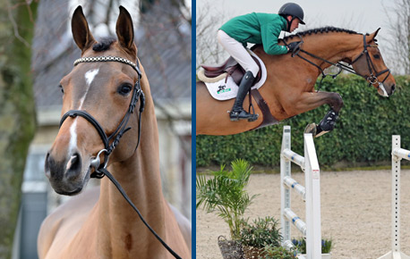 2015-HorsesPage_185