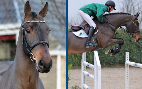 2015-HorsesPage_199
