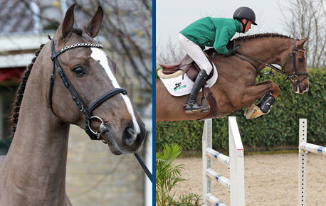 2015-HorsesPage_227