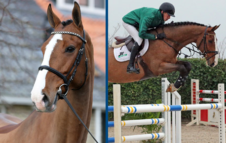 2015-HorsesPage_241