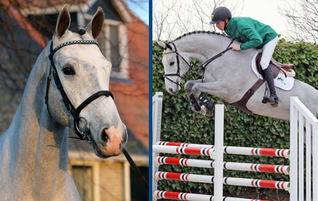 2015-HorsesPage_71