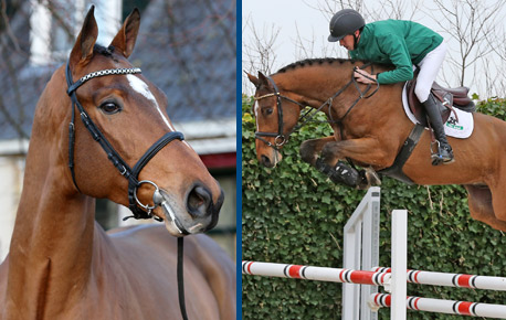 2015-HorsesPage_87
